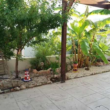 Loggin Holiday House